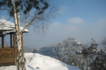 Blick vom Gohrisch zum Papststein / Schsische Schweiz